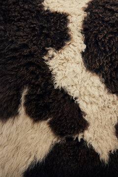 sheep skin fur texture