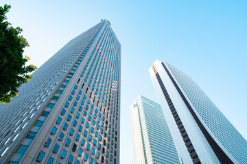 Obraz premium 下から見上げる新宿の高層ビル群