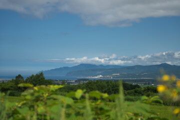 原子力発電所の見える夏の風景
