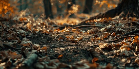 Fototapeta premium Forest floor for thematic use in topics like erosion landslides and forest soils