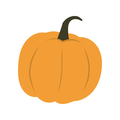 Autumn pumpkin vector illustration