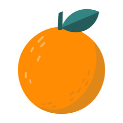 Orange fruit vector illustration