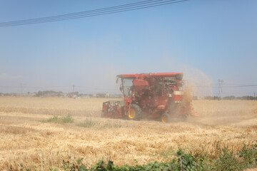 Busy harvesters harvesting wheat