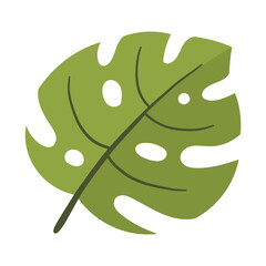 Green tropical leaf