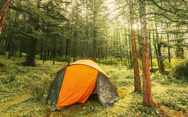 Tent in the forest 