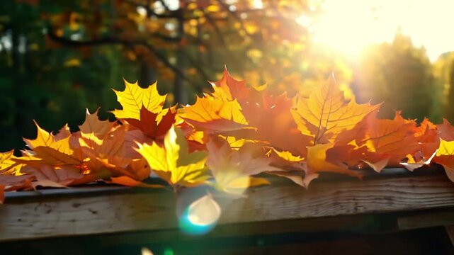 Golden and Red Fall Leaves Scattered on Wooden Deck