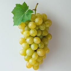A bunch of green grapes hanging on a vine with the stem visible