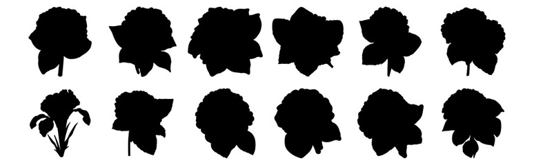 Flower silhouettes set, pack of vector silhouette design, isolated background