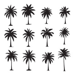 set of palm trees silhouettes on white	