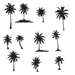 set of palm trees silhouettes on white	