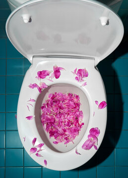 Magenta Pink Petals In A White Toilet Bowl On Blue Tiled Floor. 
