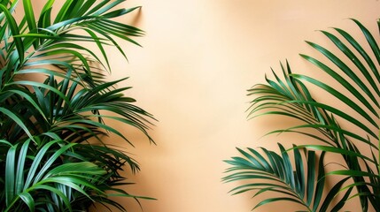 The image shows an indoor setting with a potted plant in the foreground, likely from Amazon.