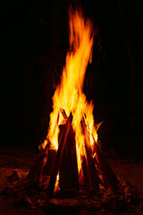 Large Bonfire in the Jungle at Night