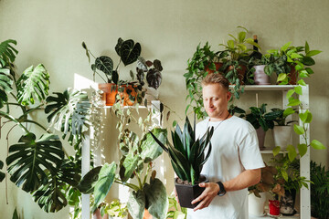 Man Admiring Plants in Home