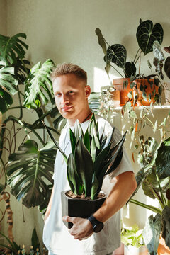 Modern Man Holding Snake Plant