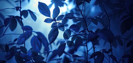 Futuristic plant silhouettes with glowing edges and shadows