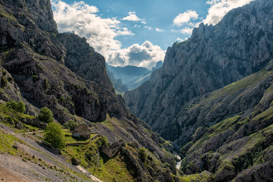 The Cares Trail
