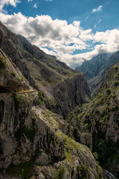 The Cares Trail