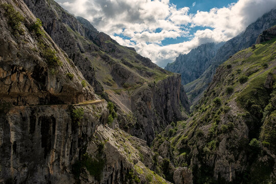 The Cares Trail