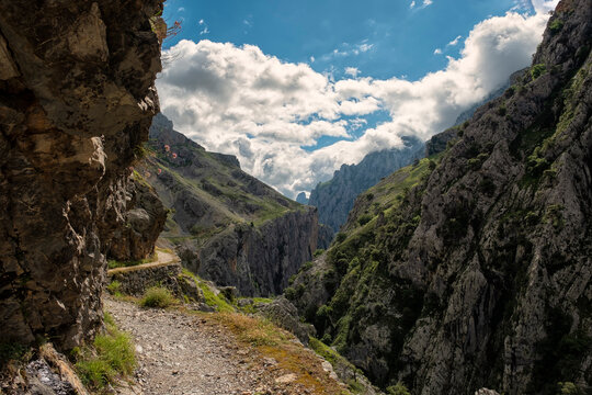 The Cares Trail