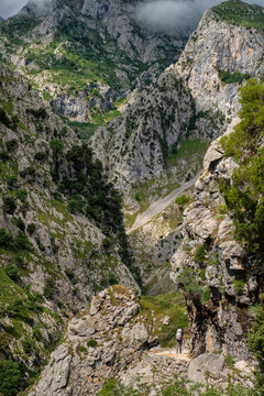 The Cares Trail