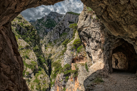 The Cares Trail