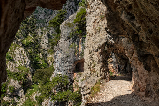 The Cares Trail