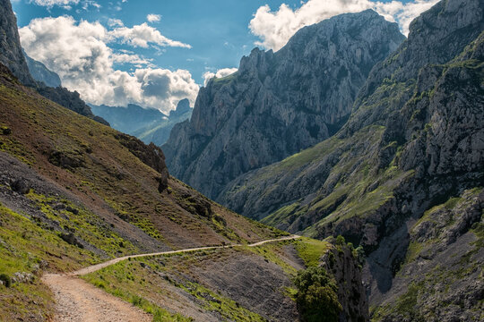 The Cares Trail