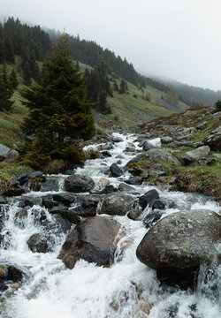 Mountain Stream Flowing Through Rocky Terrain in Elevit Plateau

