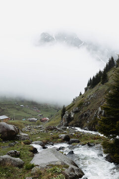 Mountain Stream Flowing Through Misty Elevit Valley in Karadeniz
