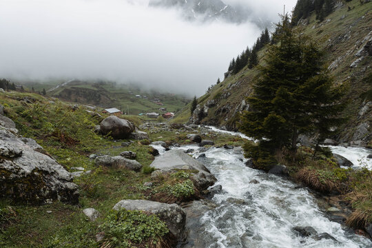 Mountain Stream Flowing Through Misty Elevit Valley in Karadeniz
