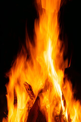 Large Bonfire in the Jungle at Night