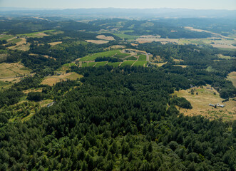 Top view of hills, vineyards, forest. Beautiful picturesque landscape. Light haze. Lots of greenery. Farming, forestry.