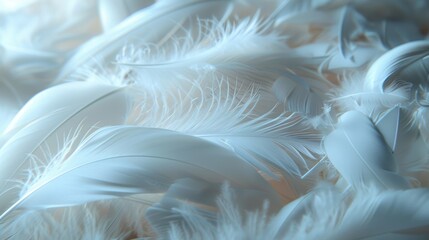 Close-up of soft white feathers, highlighting their delicate texture and gentle appearance, evoking a sense of lightness.