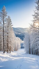 Fototapeta premium A picturesque winter scene on a mountainside, covered in snow-laden trees and blanketed by a cloudy sky.