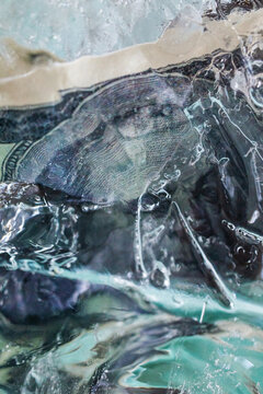 Frozen US Dollar Bill