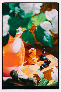 Art stil life with White Jasmine.