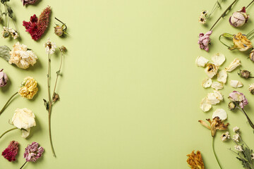 Composition of dried flowers on green background, space for text