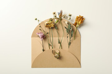 Set of dried flowers in envelope on white background, top view