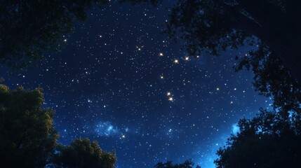 Fototapeta premium Bright constellation shines in the starry night sky framed by dark tree silhouettes in a forest.