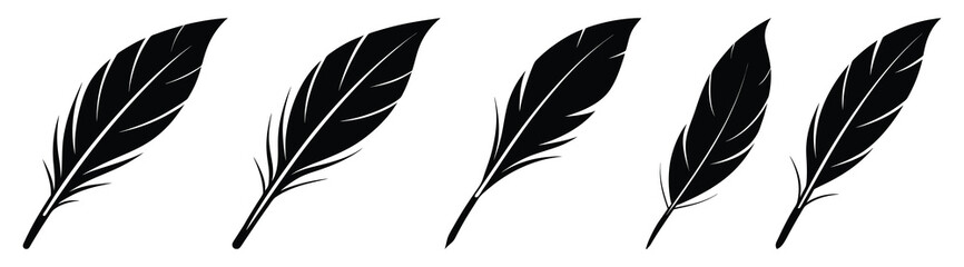 Obraz premium Black fluffy feather. Hand drawing vintage art realistic quill feathers for pen detailed isolated vector elegant silhouette sketch bird plume set
