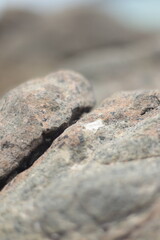 close up of a stone