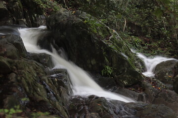 Obraz premium waterfall in the forest