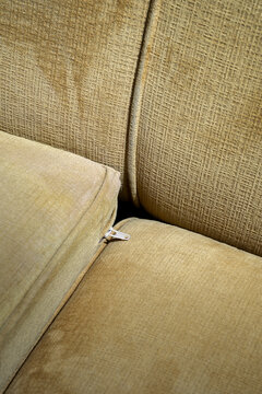 Couch Cushions