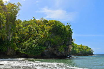 Naklejka premium Beautiful tropical caribbean island forest, Nature background