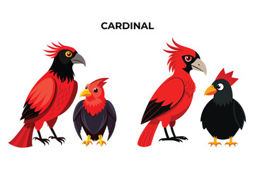 Beautiful Cardinal bird on white background vector illustration 