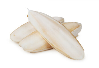pile of dry cuttlebone or cuttlefish bone shell animal feed food for bird and pet isolated on white...