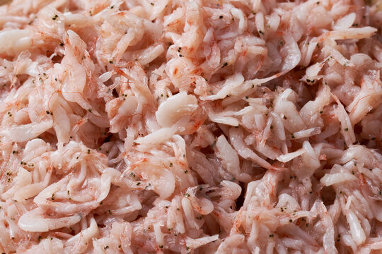 close up salt ferment shrimp or saeujeot korean food background texture