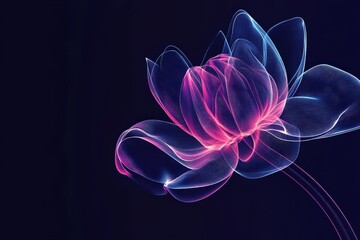 lotus flower background