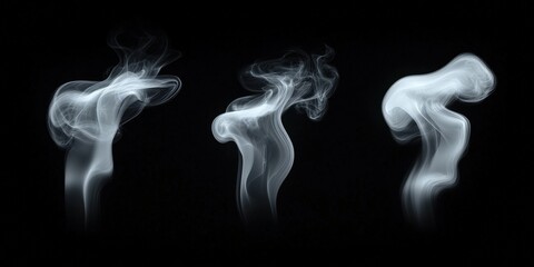 Fototapeta premium Abstract Smoke Patterns on a Black Background,White Smoke Collection on Black Background
